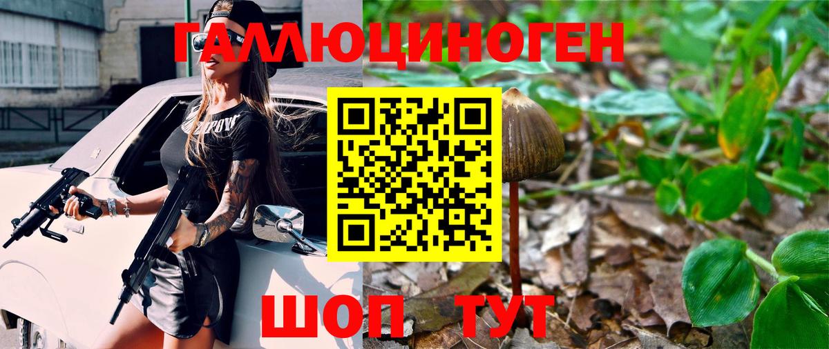 Галлюциногенные грибы GOLDEN TEACHER  Вход с VPN  Псилоцибиновые грибы Cubensis  Магадан 