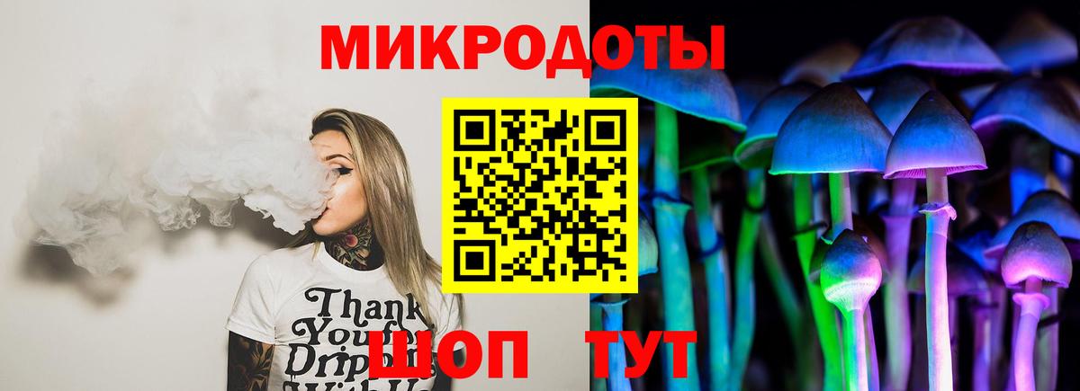 Псилоцибиновые грибы Psilocybine cubensis Магадан